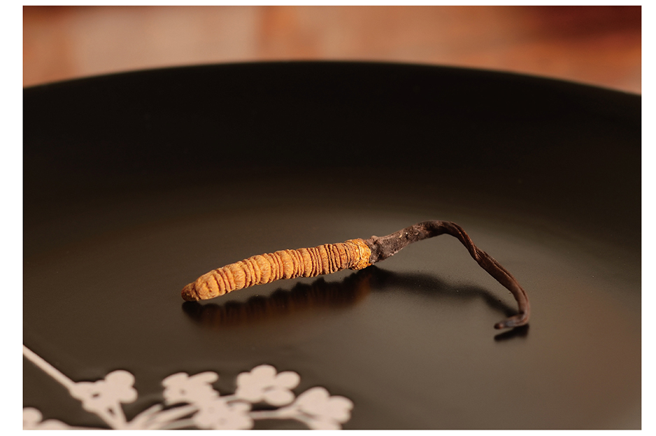 尋草記logo設(shè)計(jì)|張家港品牌策劃|品牌設(shè)計(jì)★張家港早晨設(shè)計(jì)★企業(yè)VI設(shè)計(jì)|企業(yè)策劃|形象設(shè)計(jì)|張家港Logo設(shè)計(jì)|標(biāo)志設(shè)計(jì)|商標(biāo)設(shè)計(jì)|字體設(shè)計(jì)|圖形設(shè)計(jì)